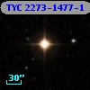 TYC 2273-1477-1
