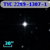 TYC 2289-1307-1
