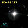 BD+36   187