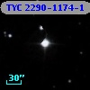 TYC 2290-1174-1