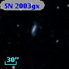 SN 2003gx