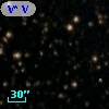 V* V1556 Cyg