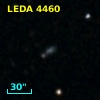 LEDA    4460