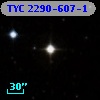 TYC 2290-607-1
