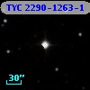 TYC 2290-1263-1