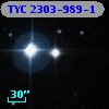TYC 2303-989-1