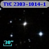 TYC 2303-1014-1