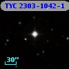 TYC 2303-1042-1