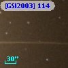 [GSI2003] 114