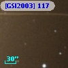 [GSI2003] 117
