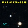 IRAS 01175+3658