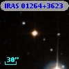 IRAS 01264+3623