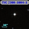 TYC 2300-1004-1