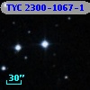 TYC 2300-1067-1