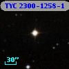 TYC 2300-1258-1