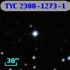 TYC 2300-1273-1