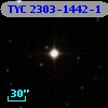 TYC 2303-1442-1