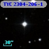 TYC 2304-206-1