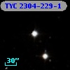 TYC 2304-229-1