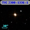TYC 2300-1336-1