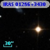 IRAS 01286+3430