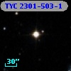 TYC 2301-503-1