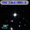 TYC 2301-995-1