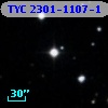 TYC 2301-1107-1