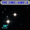 TYC 2302-1107-1