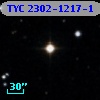 TYC 2302-1217-1