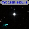 TYC 2305-1031-1