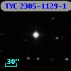 TYC 2305-1129-1
