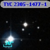 TYC 2305-1477-1