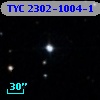 TYC 2302-1004-1