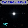 TYC 2302-1063-1