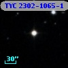 TYC 2302-1065-1