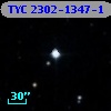 TYC 2302-1347-1
