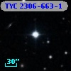 TYC 2306-663-1