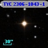 TYC 2306-1043-1