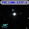 TYC 2306-1277-1