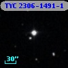 TYC 2306-1491-1
