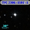 TYC 2306-1501-1