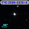 TYC 2319-1125-1