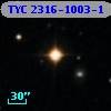 TYC 2316-1003-1