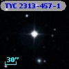 TYC 2313-457-1