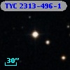 TYC 2313-496-1
