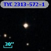 TYC 2313-572-1