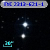 TYC 2313-621-1