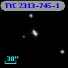 TYC 2313-745-1