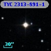 TYC 2313-891-1